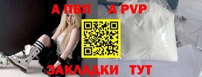 гидра Будённовск