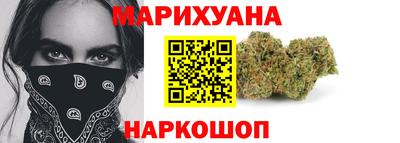 гидра Будённовск