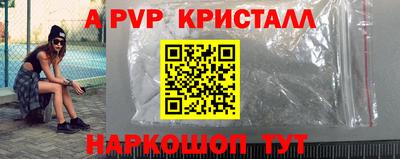 гидра Будённовск