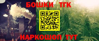 гидра Будённовск