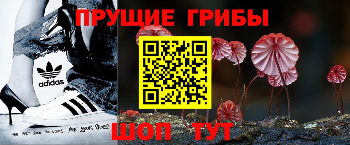 Заинск  Галлюциногенные грибы GOLDEN TEACHER  Галлюциногенные грибы MAGIC MUSHROOMS  Вход с VPN 