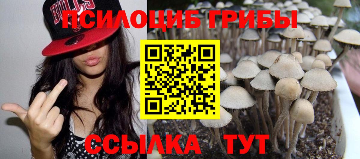 Галлюциногенные грибы ЛСД Заинск